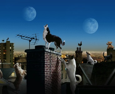 O2 'Better Connected' 2008